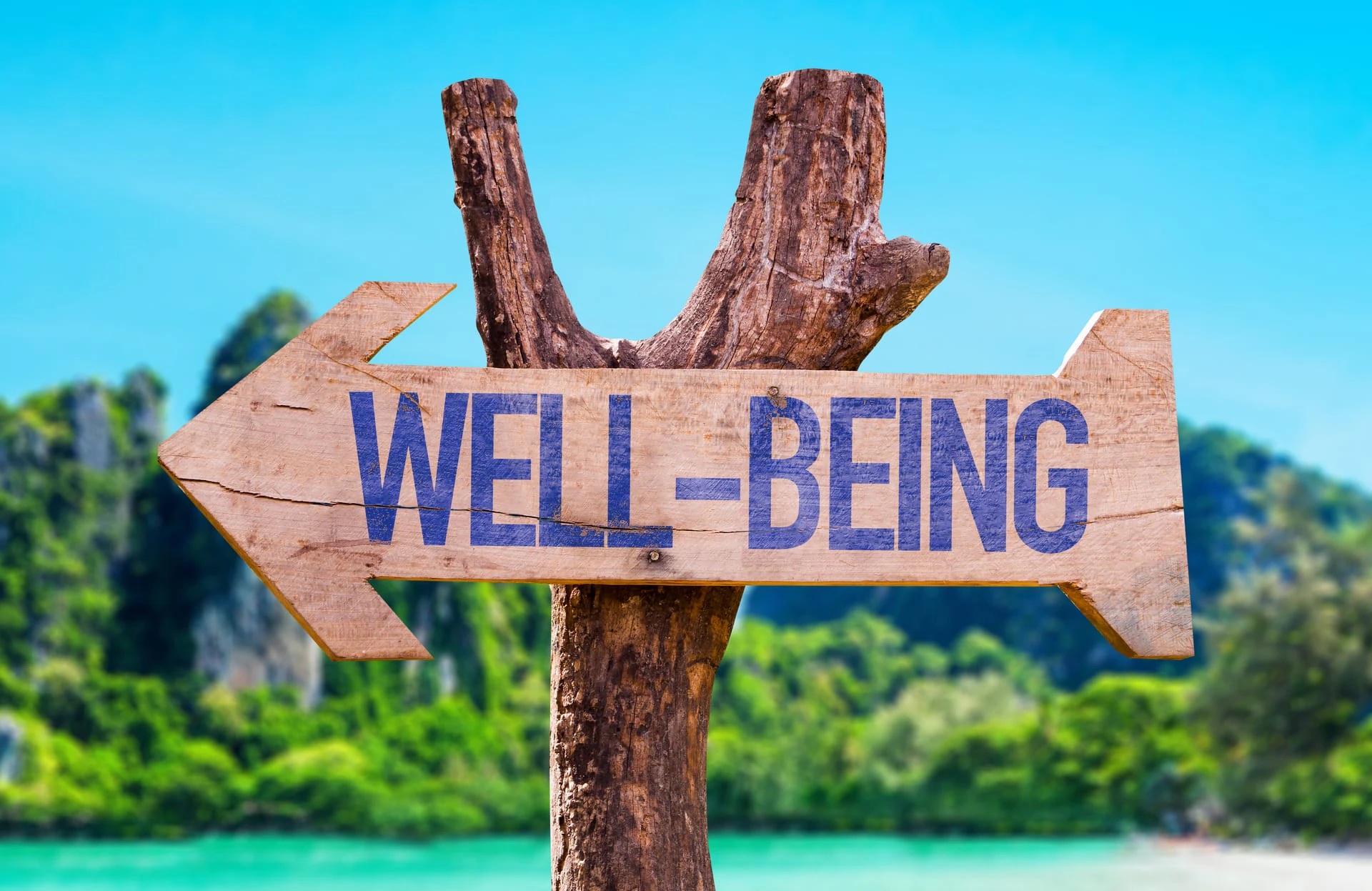 ウェルビーイングとは?導入のメリットと具体的な取り組み、企業事例を解説