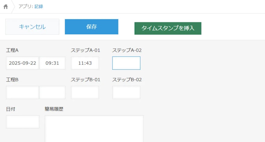 タイムスタンプ挿入プラグイン_レコード編集画面_02