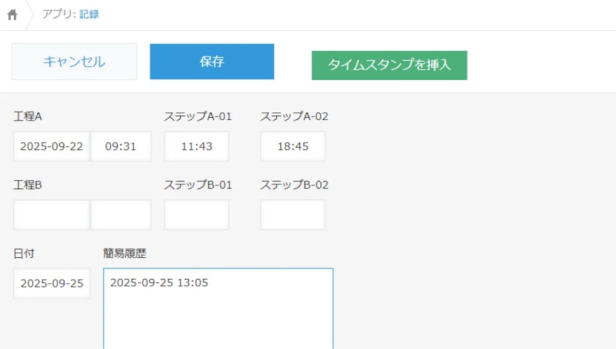 タイムスタンプ挿入プラグイン_レコード編集画面_03