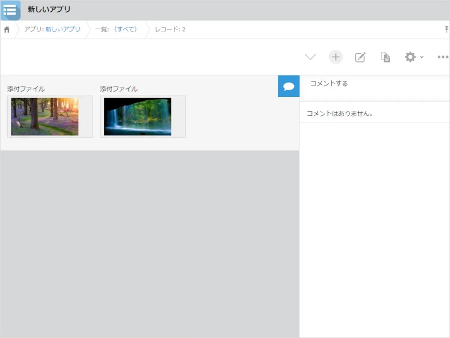 添付画像自動リサイズ_レコード詳細画面_02
