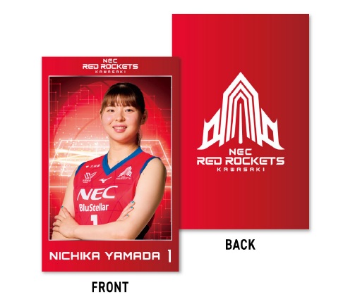 NECレッドロケッツ川崎　MIZUNO社製特製バッグ　ファンクラブ特典　未開封 NECレッドロケッツ川崎 MIZUNO社製特製バッグ ファンクラブ特典