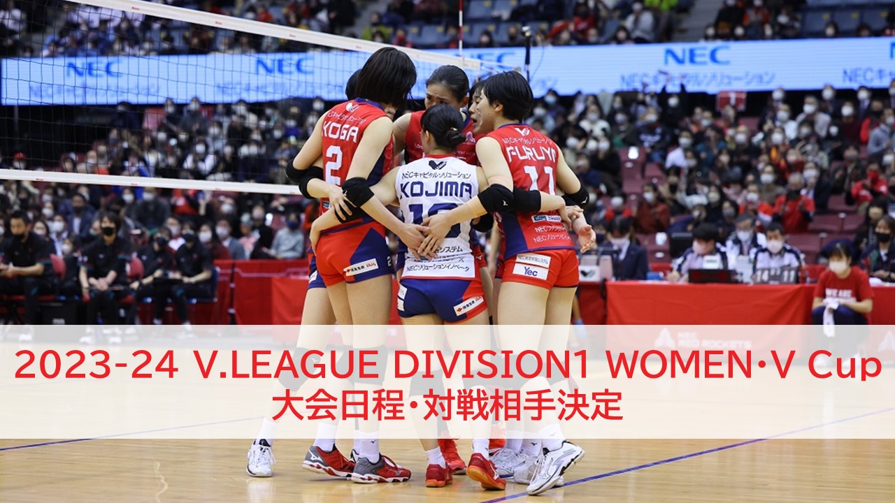 Vリーグ 23