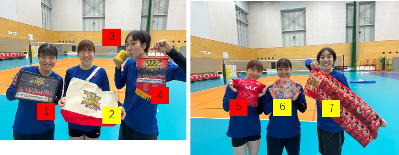 NECレッドロケッツ佐藤淑乃選手直筆サイン入りオーセンティック