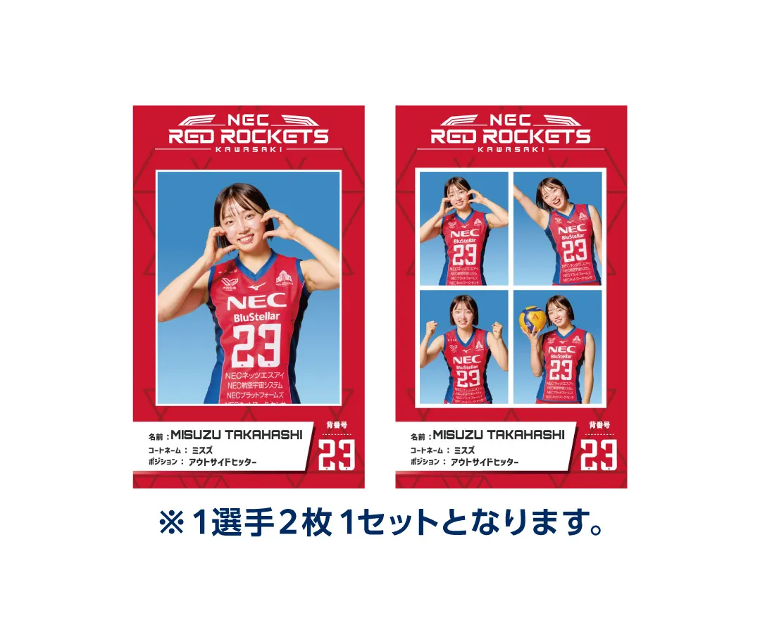 3月28日(土)・3月29日(日) vs 東レアローズ滋賀 ｜ 試合情報特設ページ