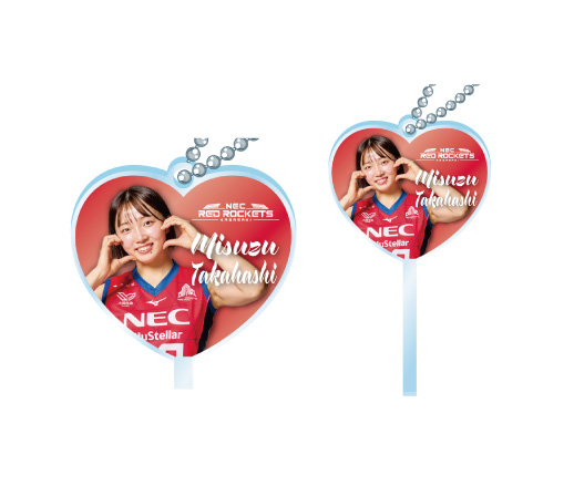 2月28日(土)・3月1日(日) vs 群馬グリーンウィングス ｜ 試合情報特設