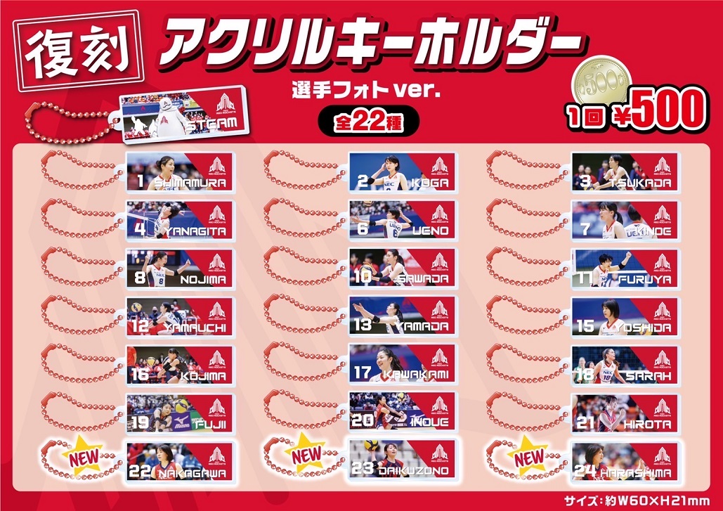 【ハイグレード会員限定】 NECレッドロケッツ川崎　ファンクラブ限定グッズ ファンクラブ入会特典 選べるグッズ一部終了のお知らせ