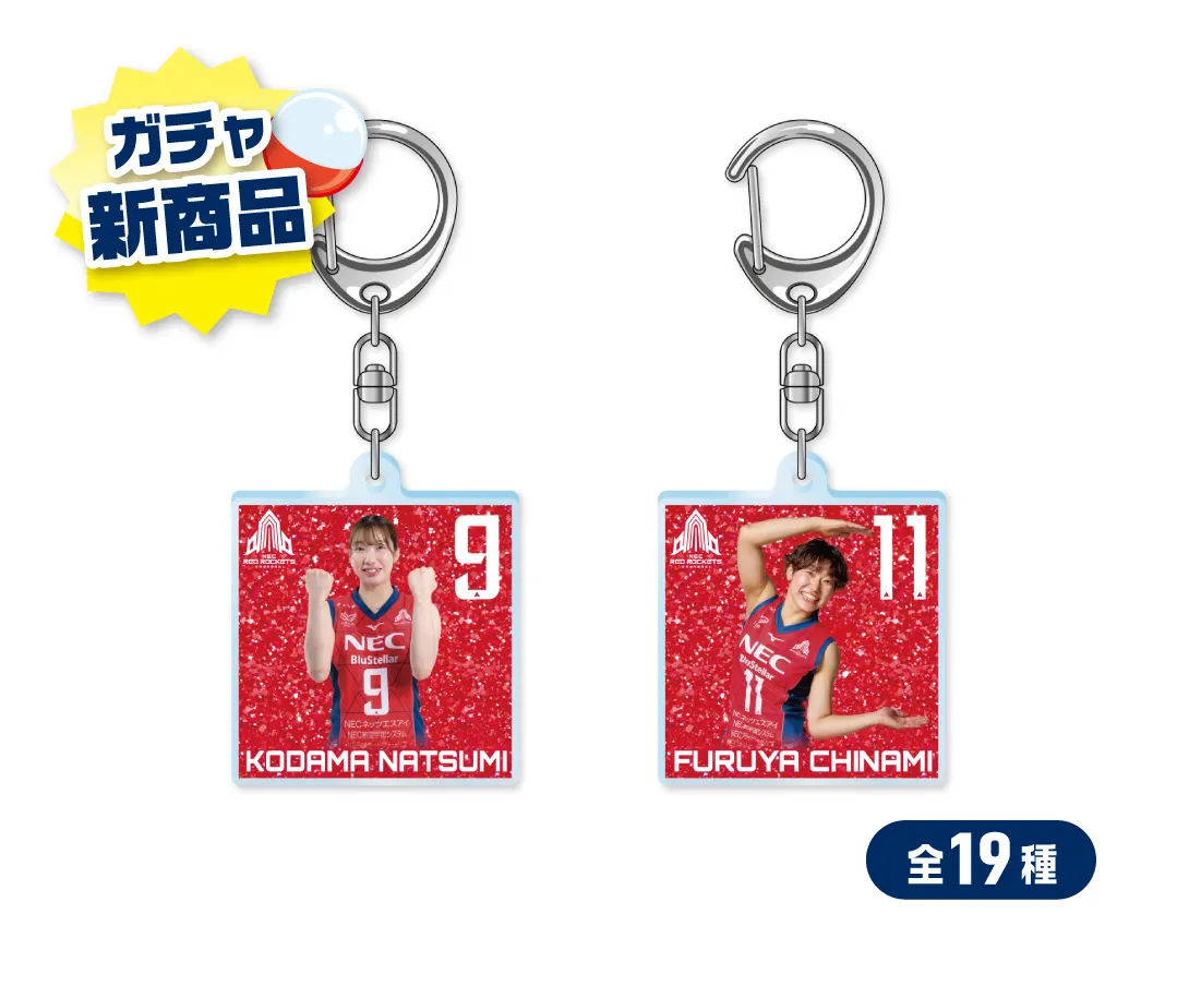 2月28日(土)・3月1日(日) vs 群馬グリーンウィングス ｜ 試合情報特設