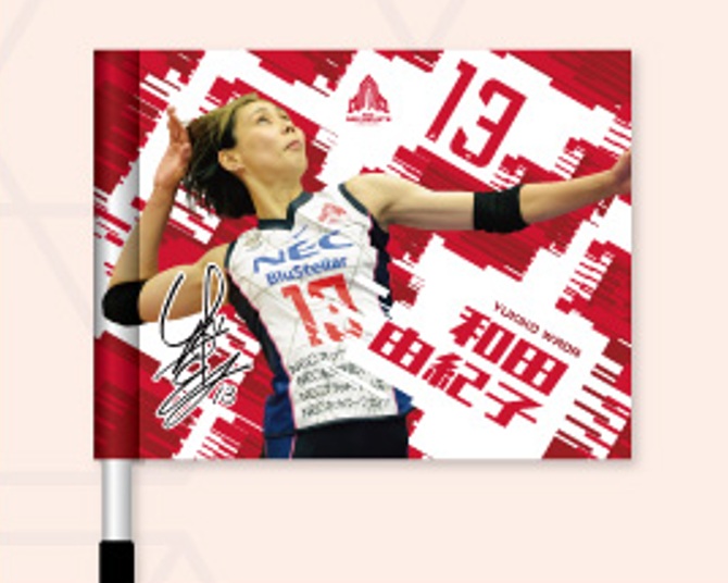 2月28日(土)・3月1日(日) vs 群馬グリーンウィングス ｜ 試合情報特設