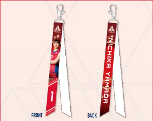 NECレッドロケッツ川崎　MIZUNO社製特製バッグ　ファンクラブ特典　未開封 NECレッドロケッツ川崎 MIZUNO社製特製バッグ ファンクラブ特典