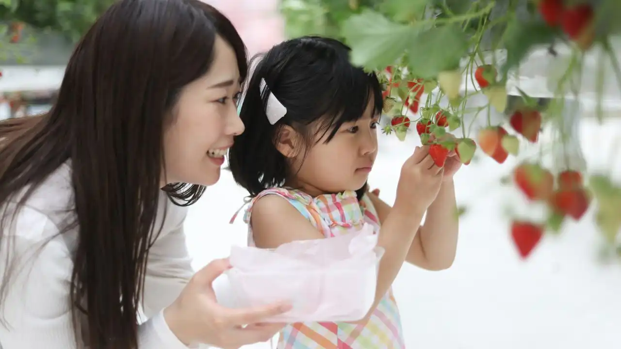 アクティビティ・見学ツアー