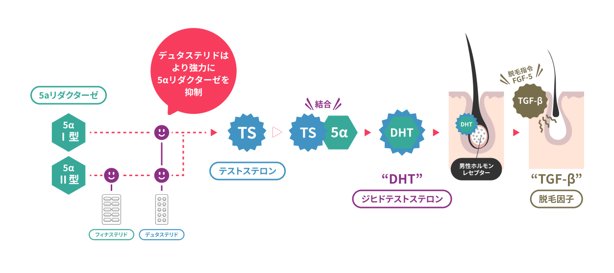 AGA治療の効果が出るまでの期間は？薄毛の改善が早い人の特徴 | ヘアテクトBlog