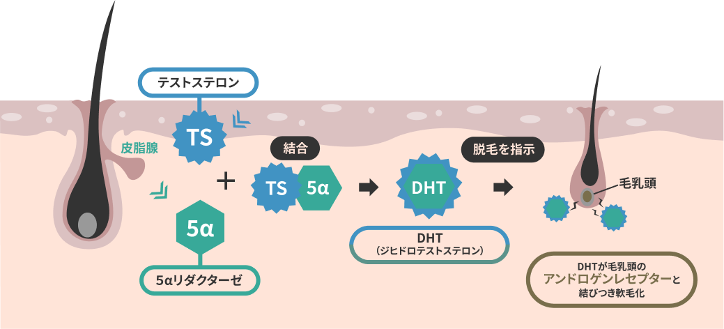 将来禿げる 整髪料がハゲる原因？薄毛にならないヘアワックスやジェルの