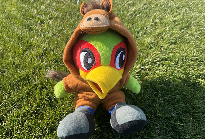 超レア　ファジアーノ岡山　ファジ丸ぬいぐるみ ２体セット 超レア ファジアーノ岡山 ファジ丸ぬいぐるみ 2体セット ファジアーノ