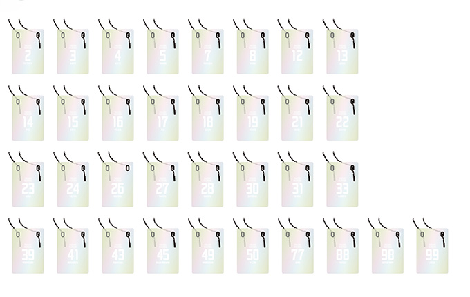 オーロラ”グッズ 予約販売のお知らせ | ファジアーノ岡山 FAGIANO OKAYAMA