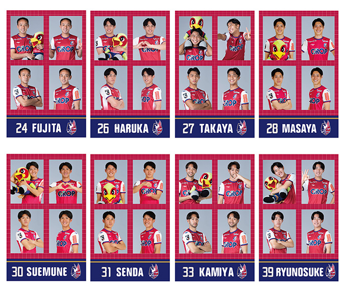 2016 ファジアーノ岡山ファン感謝デーグッズ　クッション ファジアーノ岡山 公式オンラインストア / TOPページ