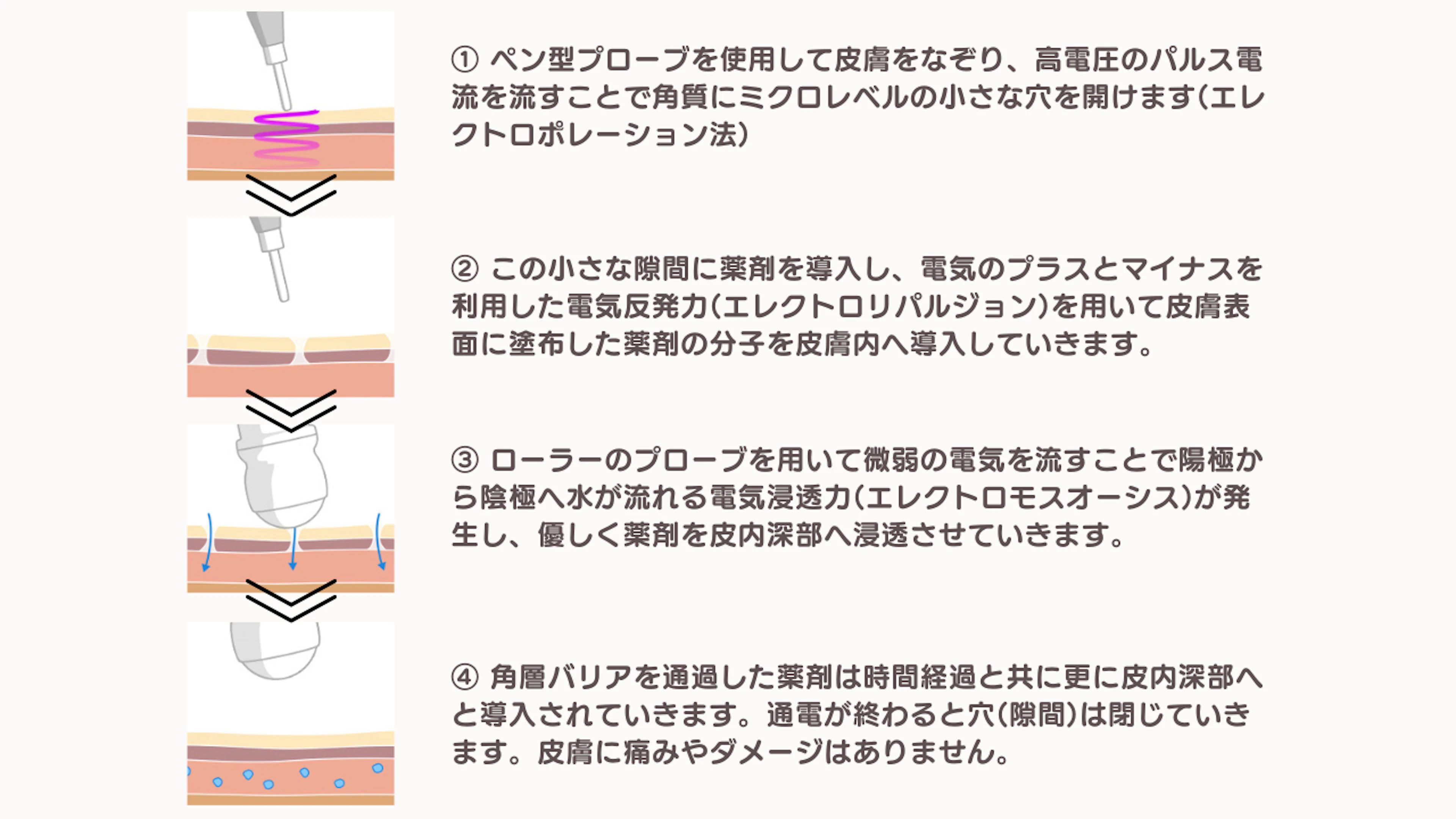point01.png?w=3840&fm=webp&q=75