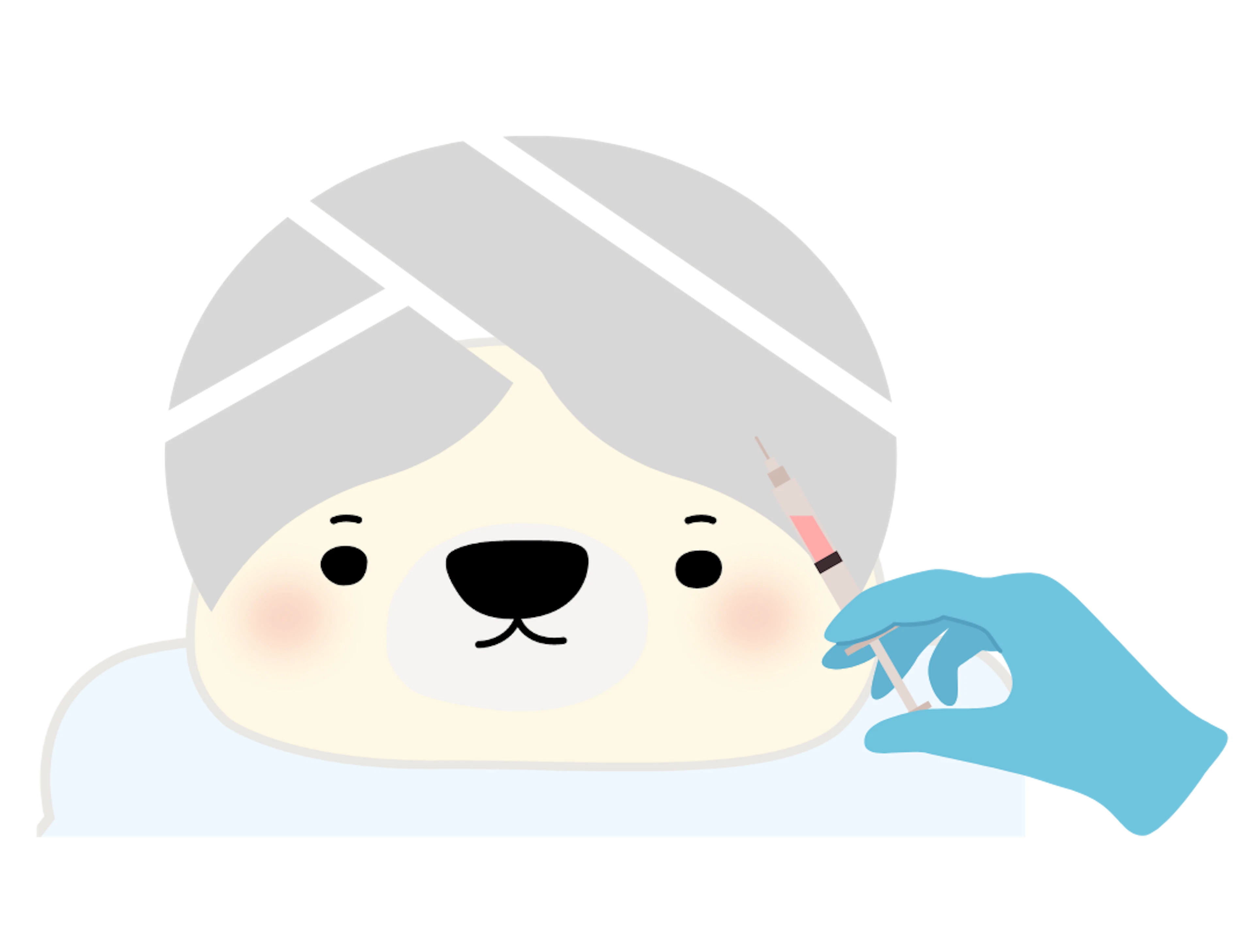 麻酔・施術