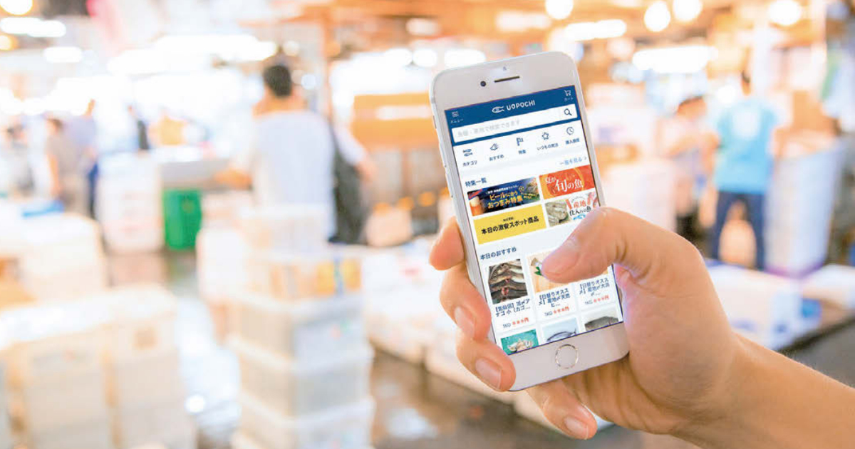 獲った魚を質重視で値付け Web上で店とマッチング