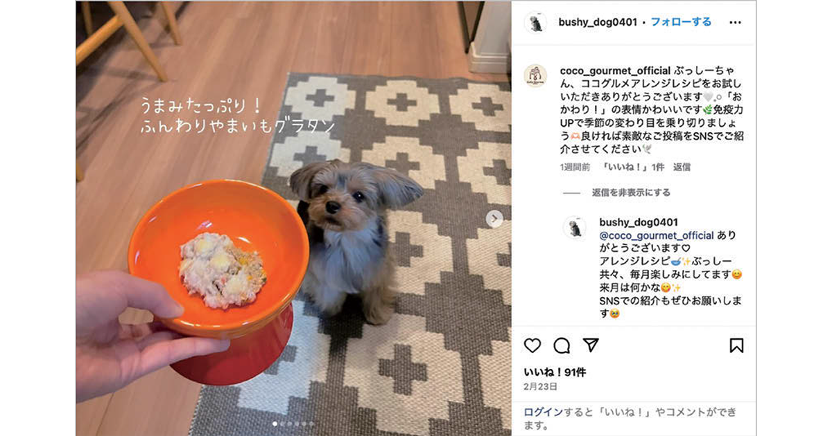 日々の食事からペットの健康を実現する