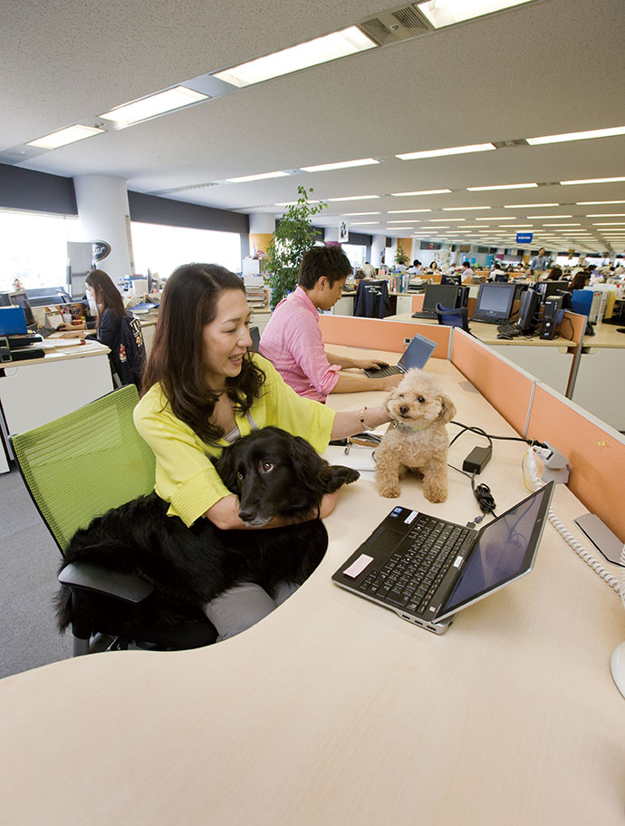 犬＆ネコが社内を自由に闊歩する、マース ジャパンのオフィスに潜入
