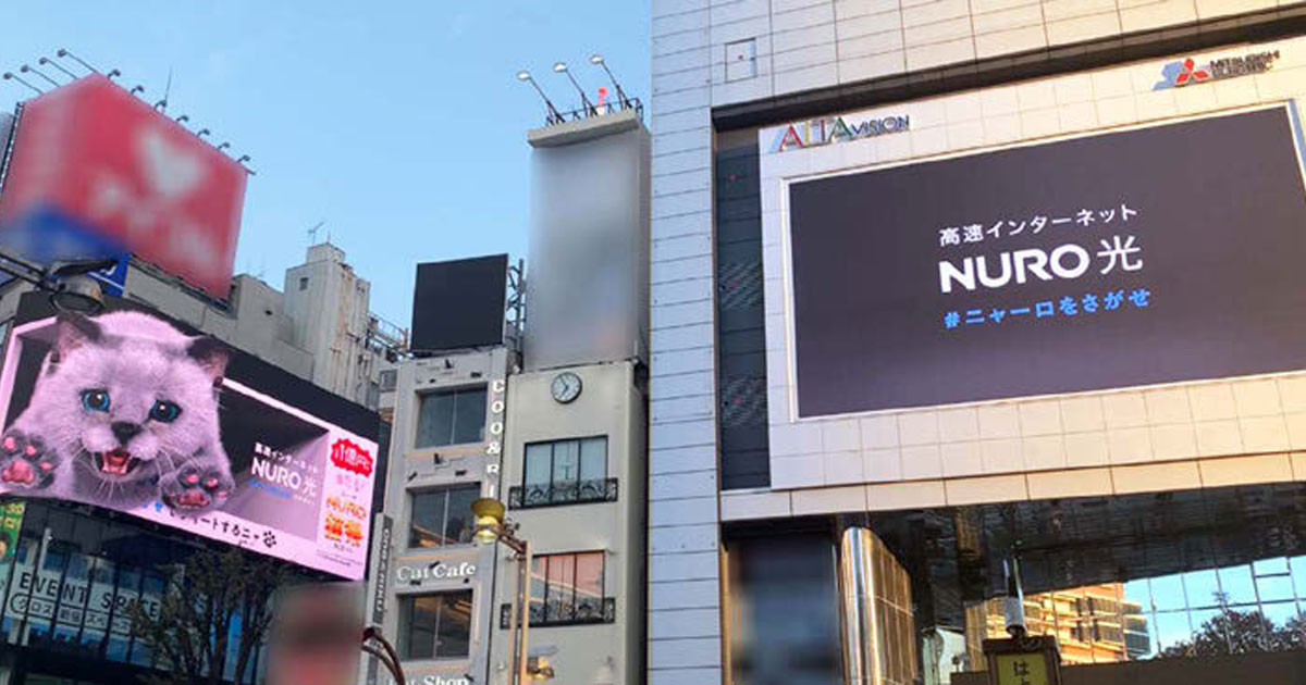 [PR] 新宿の3Dビジョンに「ニャーロ」出現 SNS投稿キャンペーンで話題