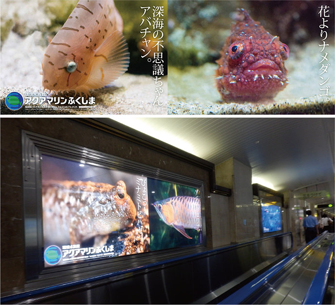 「動く歩道」沿いの水族館広告で入館者数123％－OOHの秀逸事例42連発