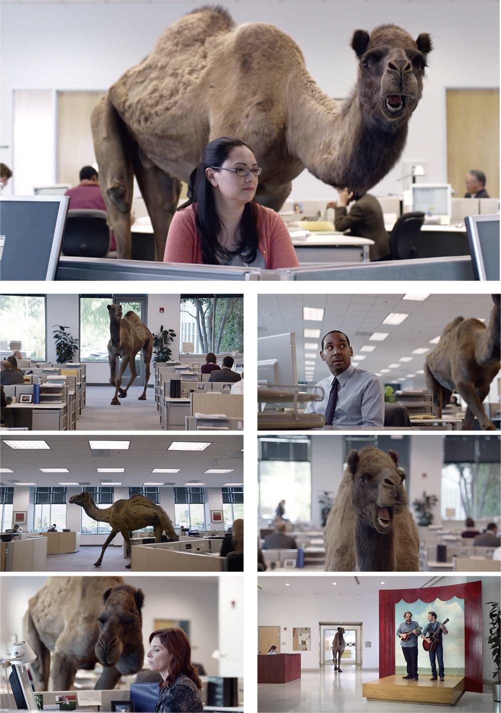 「Hump Day」毎週水曜に必ずシェアされる動画