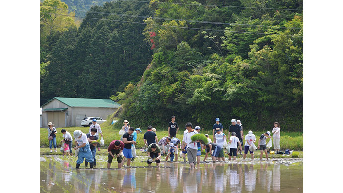 専門家に聞く　地方創生×PRの最新事情