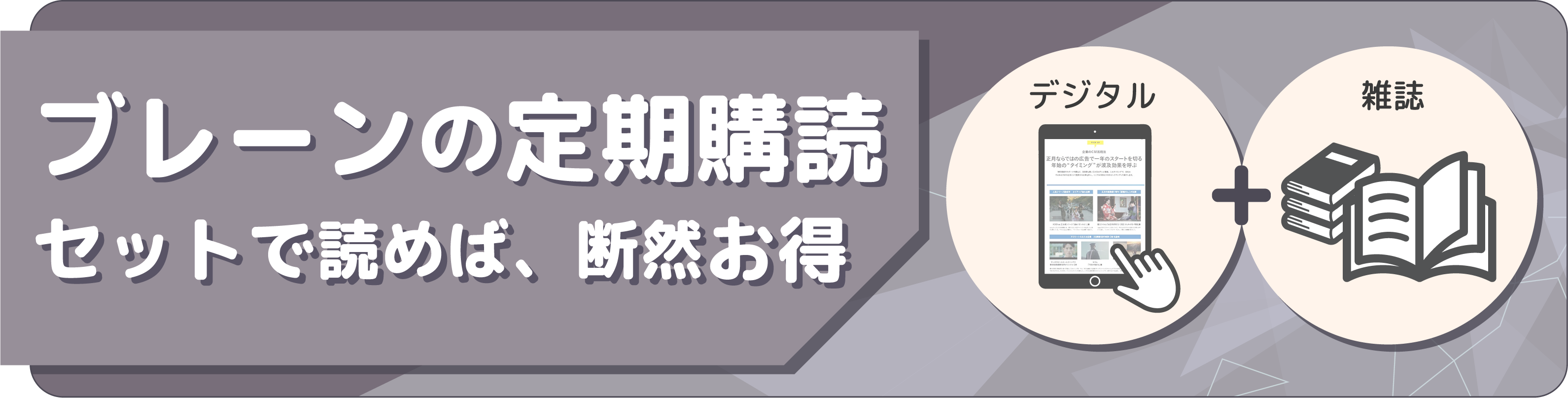 brain_header_20240126.png