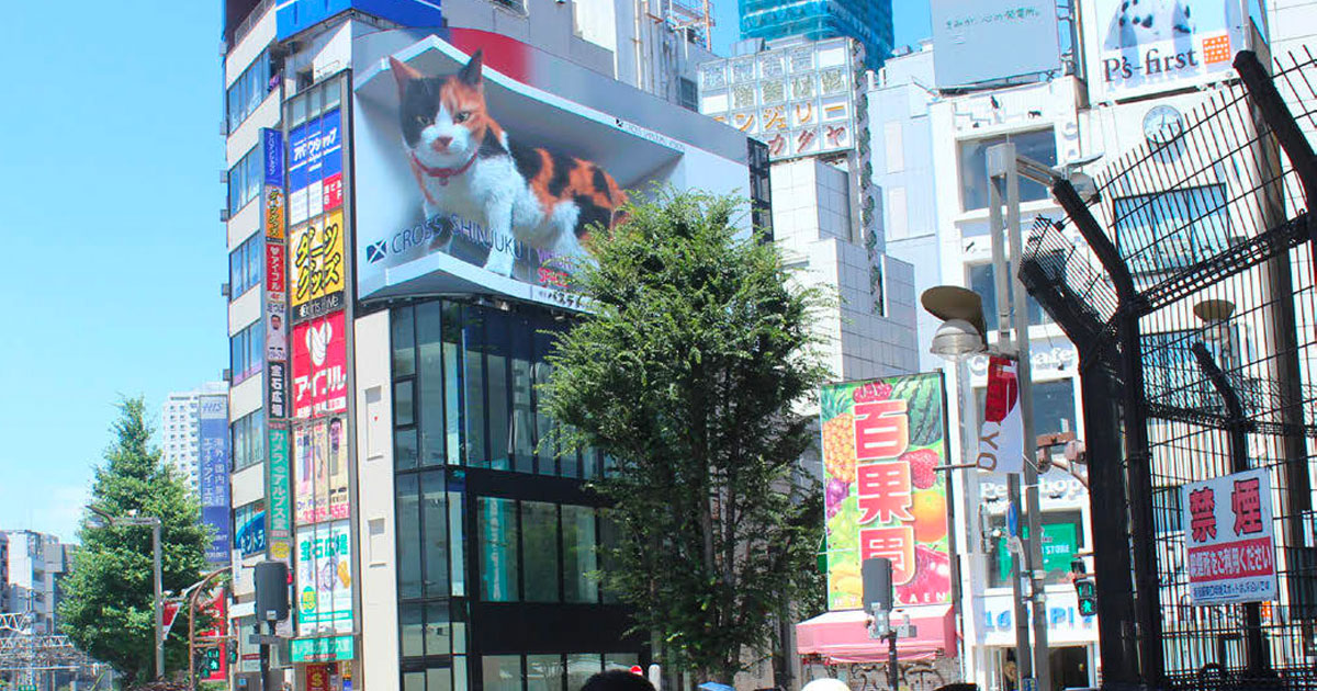 ビルから飛び出す街のアイコン クロス新宿ビジョン「巨大3D猫」