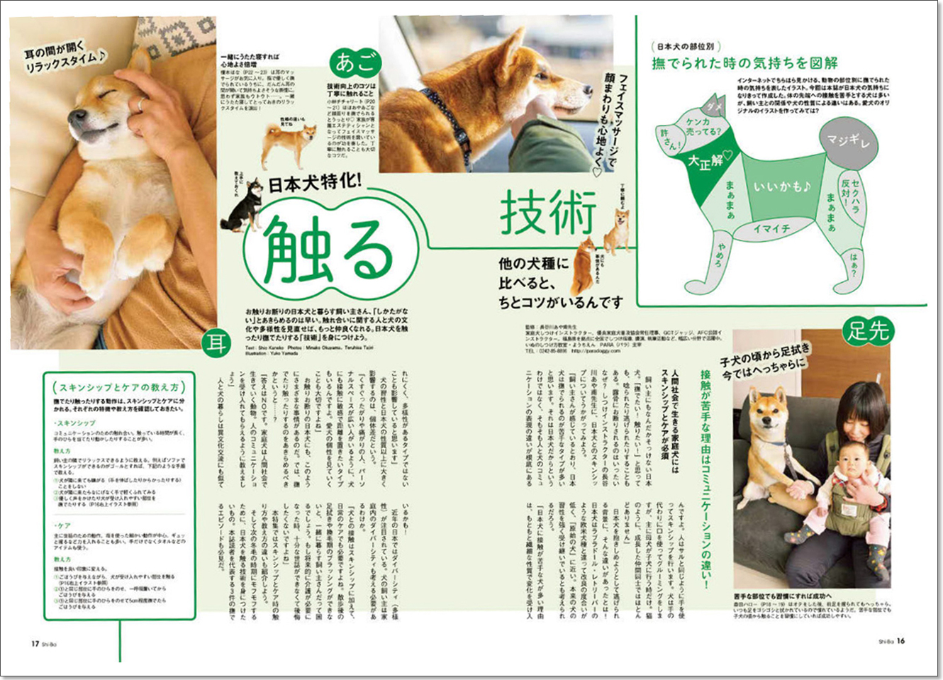 日本犬専門誌 犬への愛にあふれる「日本犬」専門誌の裏側 | 広報会議