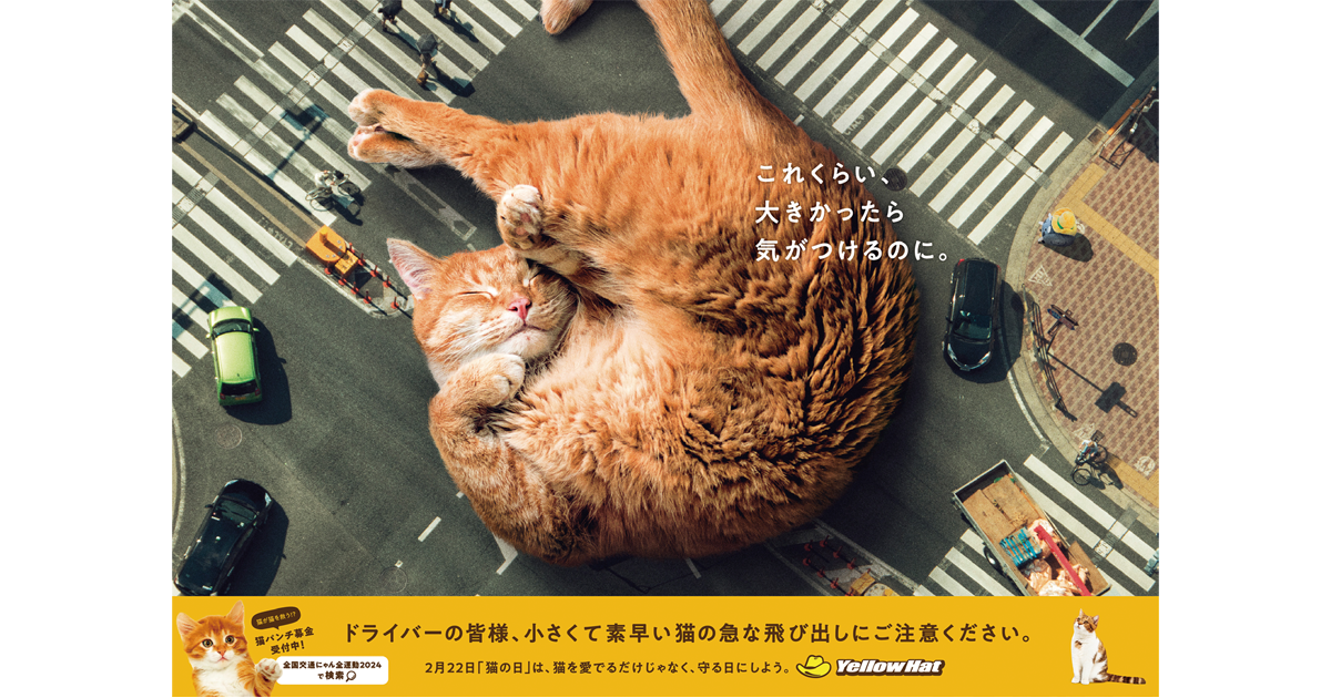 「猫を守りたい」本気度を伝える肉球で参加できる募金サイト