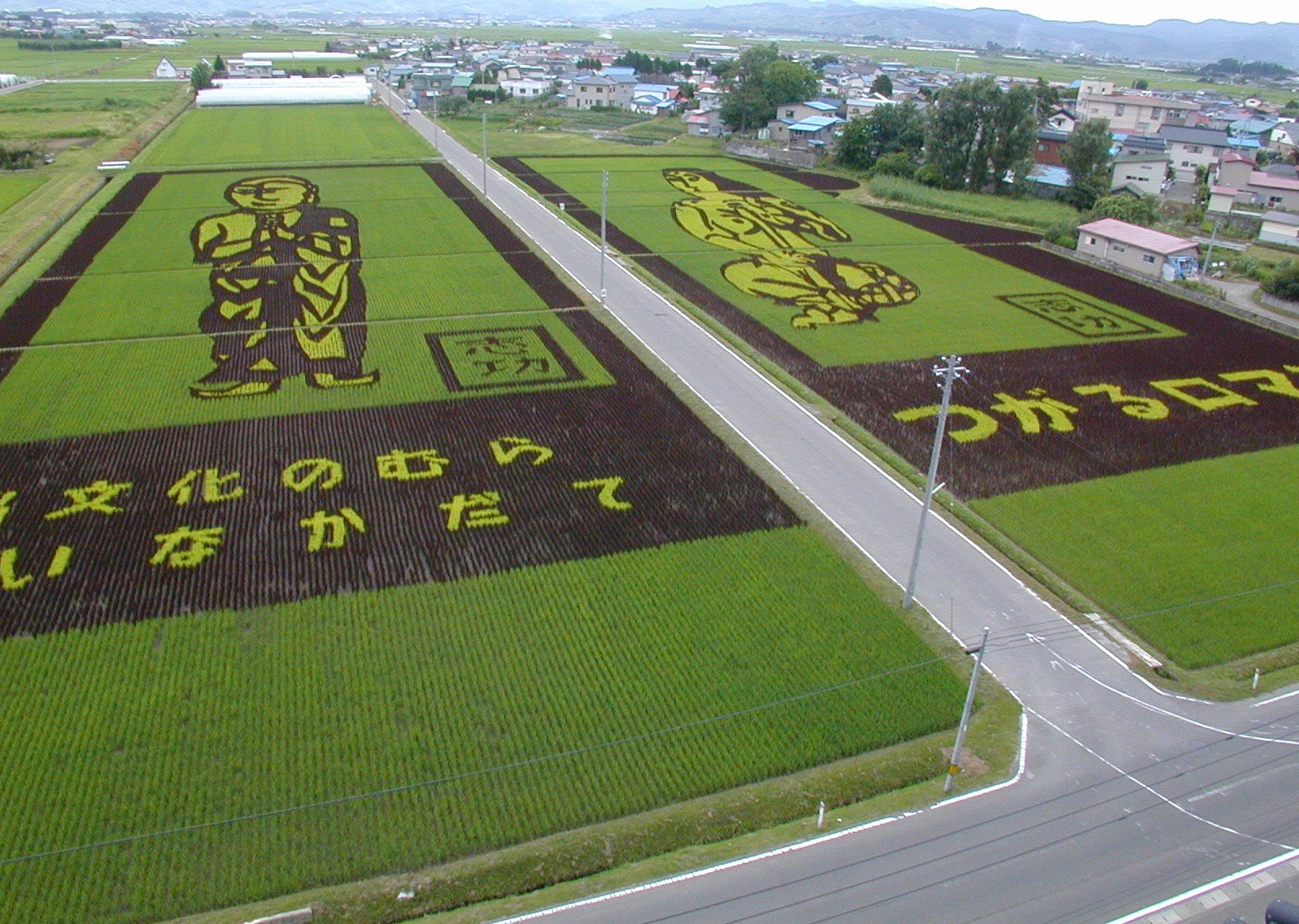 「田んぼアート」による観光地づくり　失敗を乗り越え、見学者数増加と有料化の決断へ