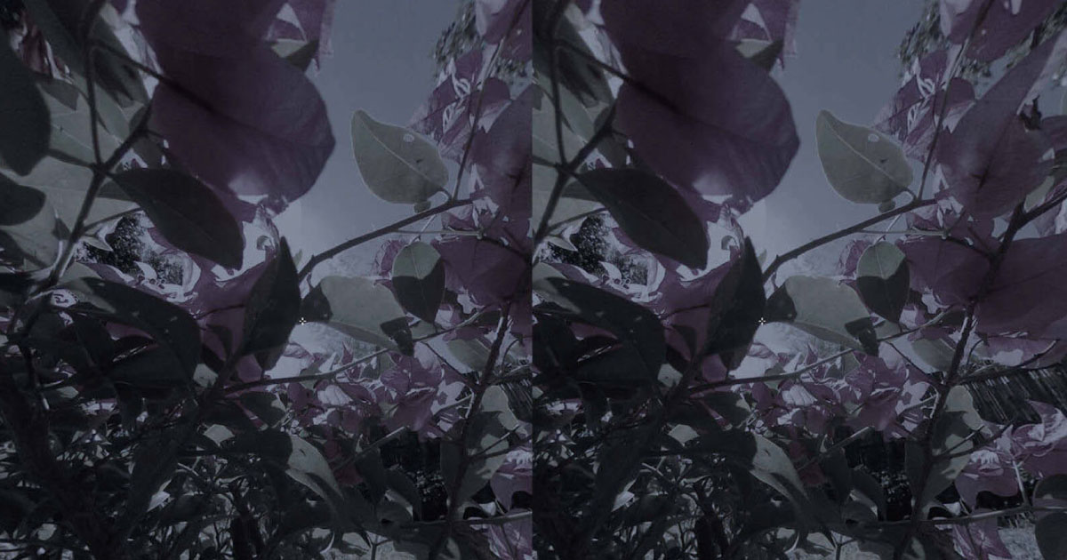 沢渡朔、野村佐紀子の写真をVRで体験