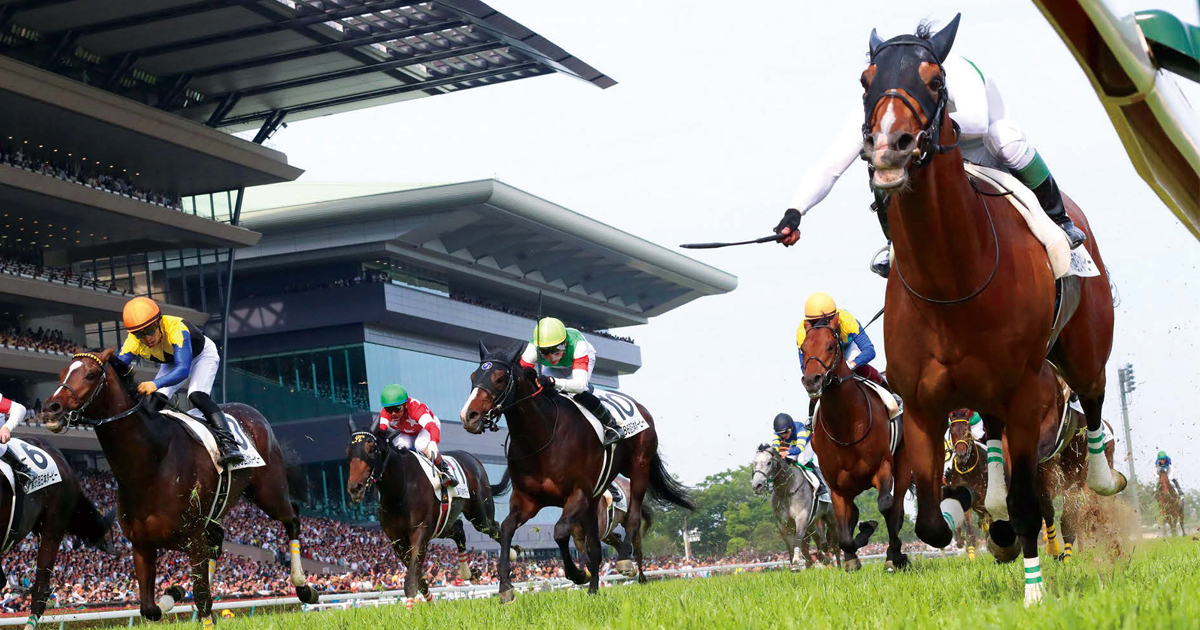 競馬未経験の若者を競馬場へ JRA「HOT HOLIDAYS！」