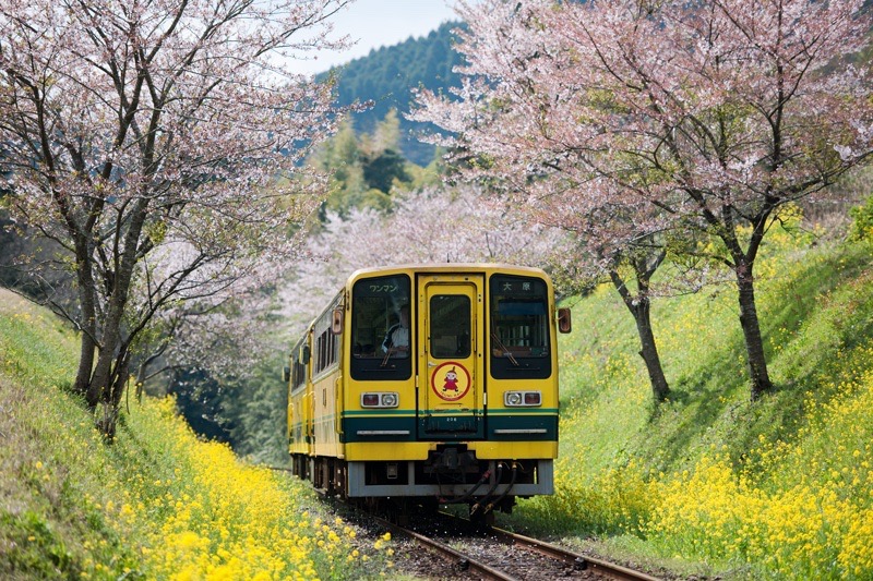 廃止寸前から立て直した千葉県・いすみ鉄道　「非日常」を地域の価値と捉えよう