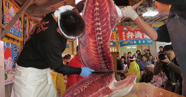 青森・大間が「本州の端」から世界を舞台に躍進！