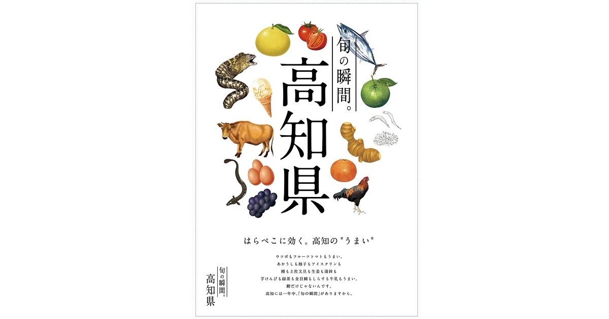 カタログから派生した広告・コンテンツ