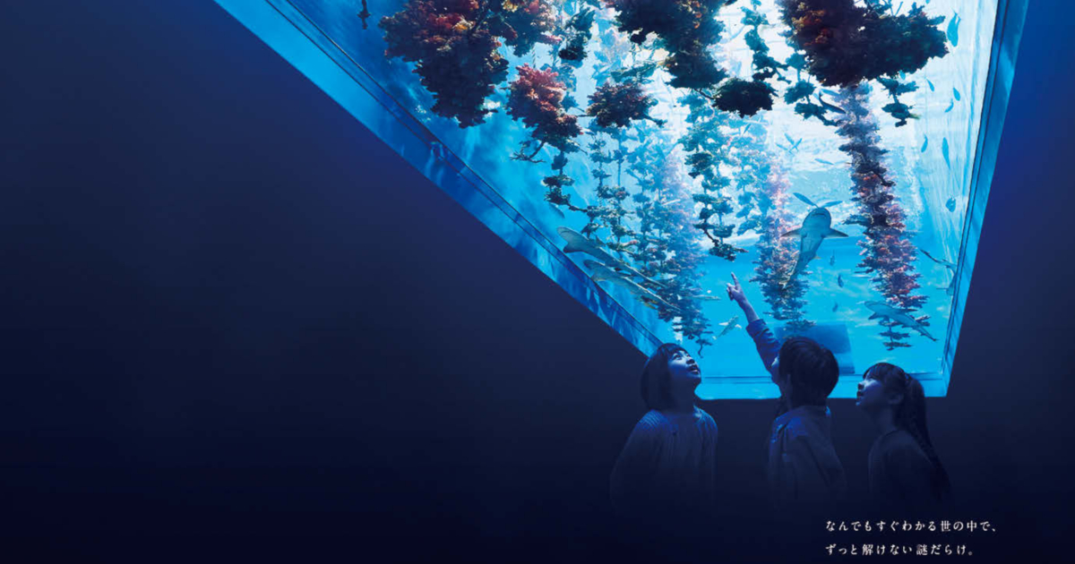 知的好奇心を刺激される水族館