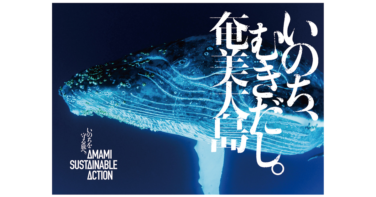 奄美大島から生物多様性を守るツーリズムを発信