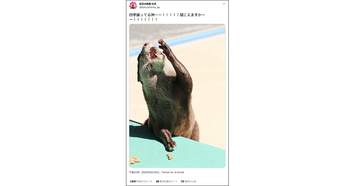 人気投稿に学べ！（桂浜水族館・串戸保育園・モーリーファンタジー）
