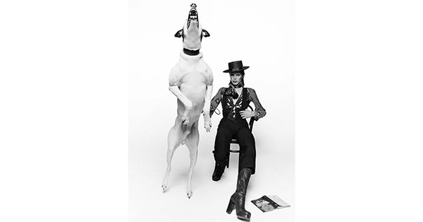 Bowie:Faces展、YACCO SHOW、仲條正義展他、1月の展覧会