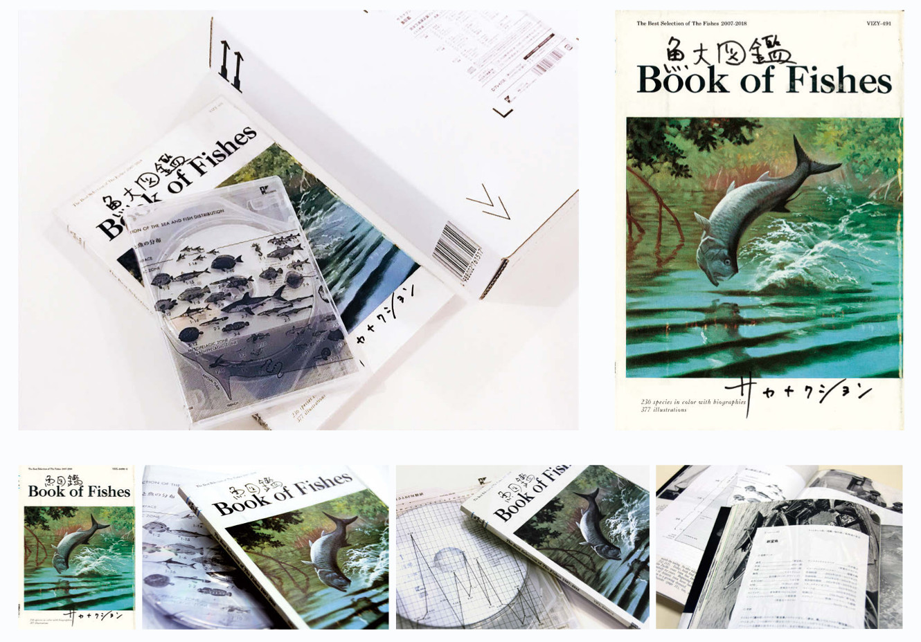 サカナクション「魚図鑑」のジャケット他、デザインの裏側 | ブレーン