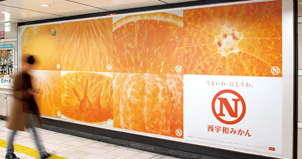 みかんの『日本代表』を宣言する品質キャンペーン