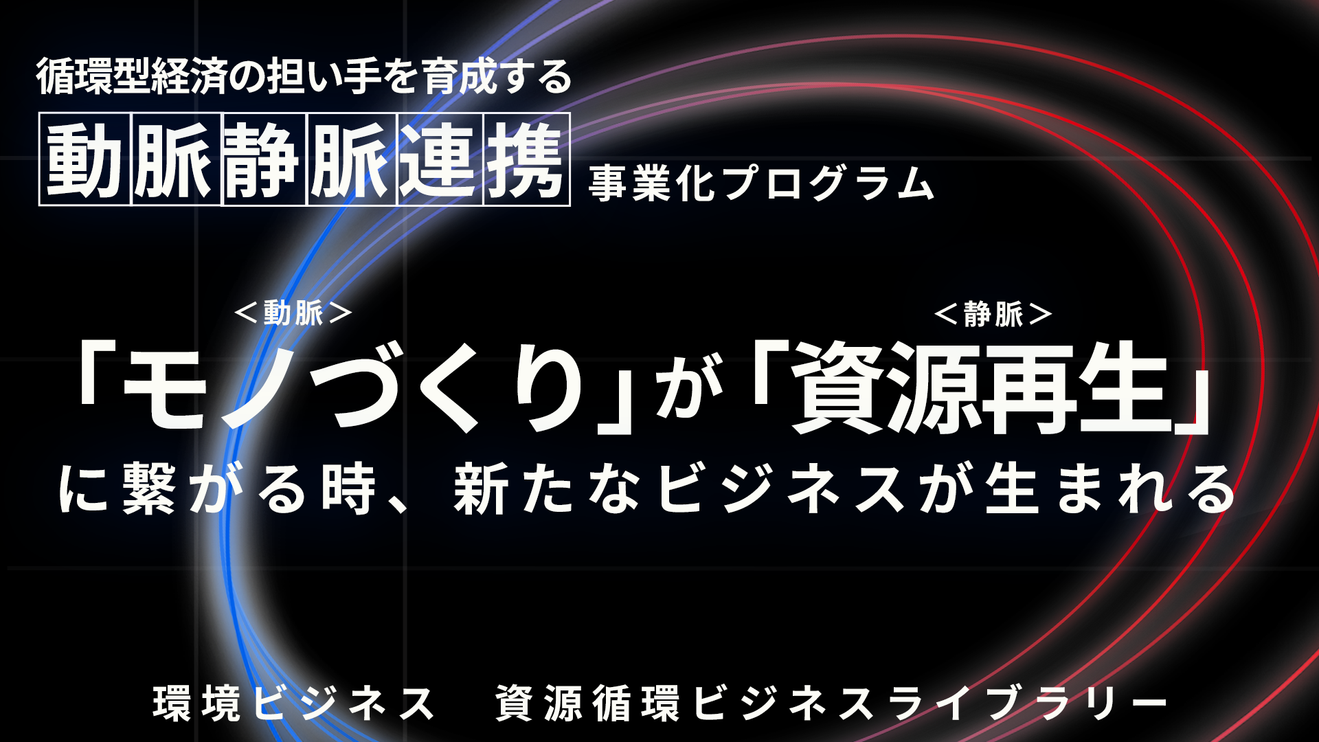 動脈静脈連携事業化プログラム