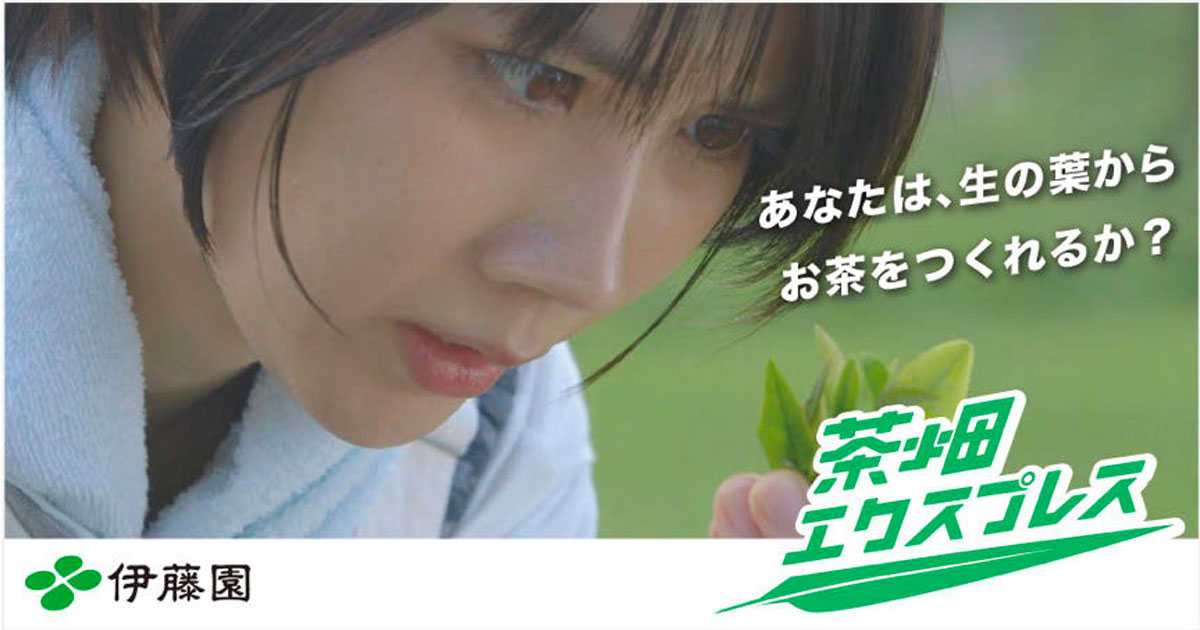 [PR] 「お〜いお茶」のお茶づくり体験企画に2000人超が応募