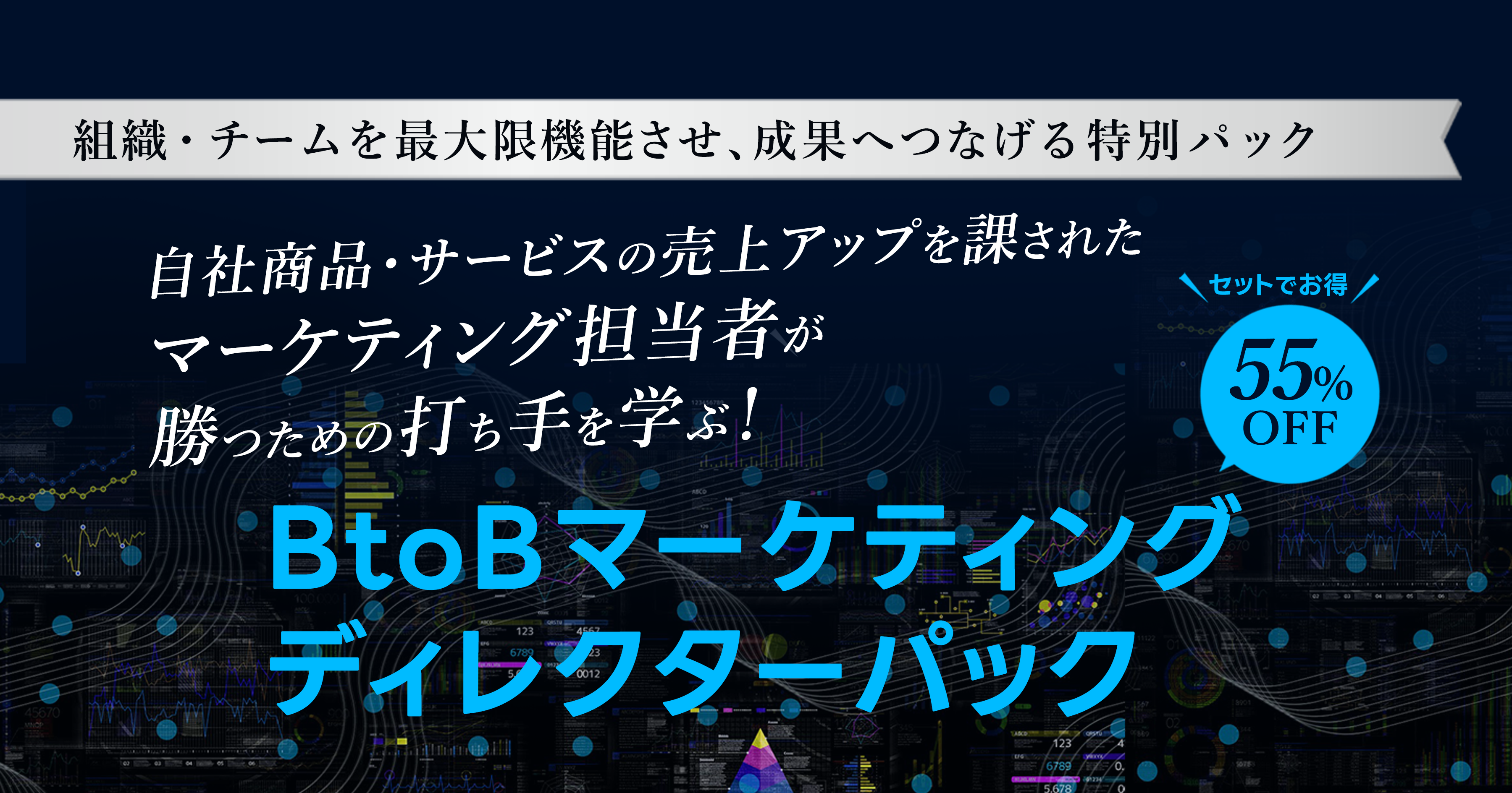 BtoBマーケティングディレクターパック(オンデマンド配信)
