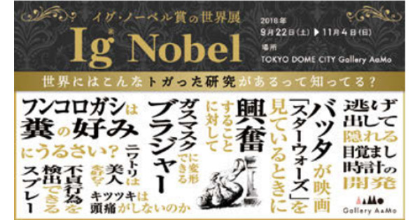 今月の展示会＆コンペティション