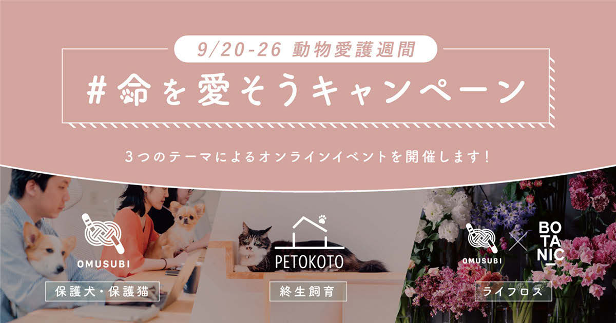 [PR] 犬猫の飼育や命をテーマにオンラインイベント、エンゲージメント向上