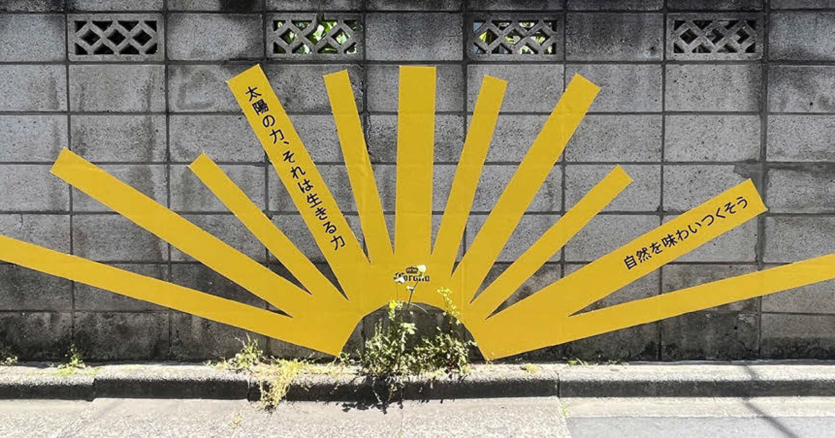 道端の雑草をメディアに！